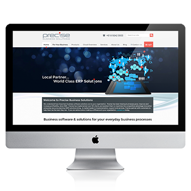 Precise Business Solutions
