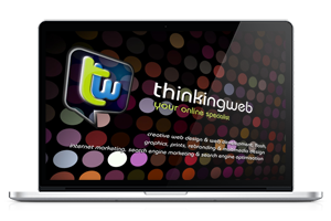Thinking Web